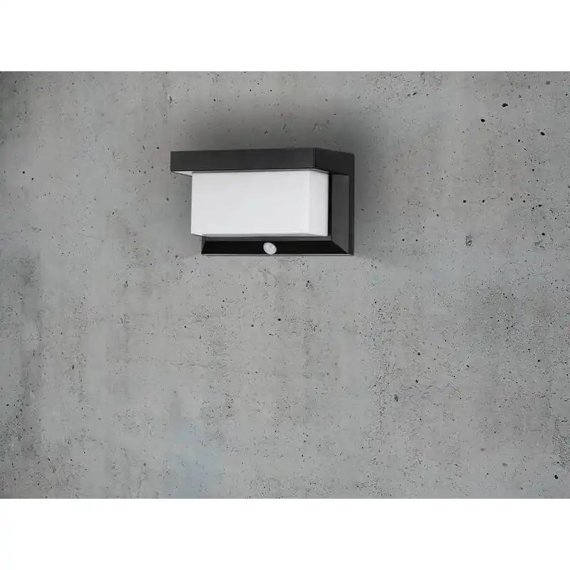 Nieuw Eglo Z_SOLAR Buiten muurverlichting LED Zwart, 32-lichts, Bewegingsmelder