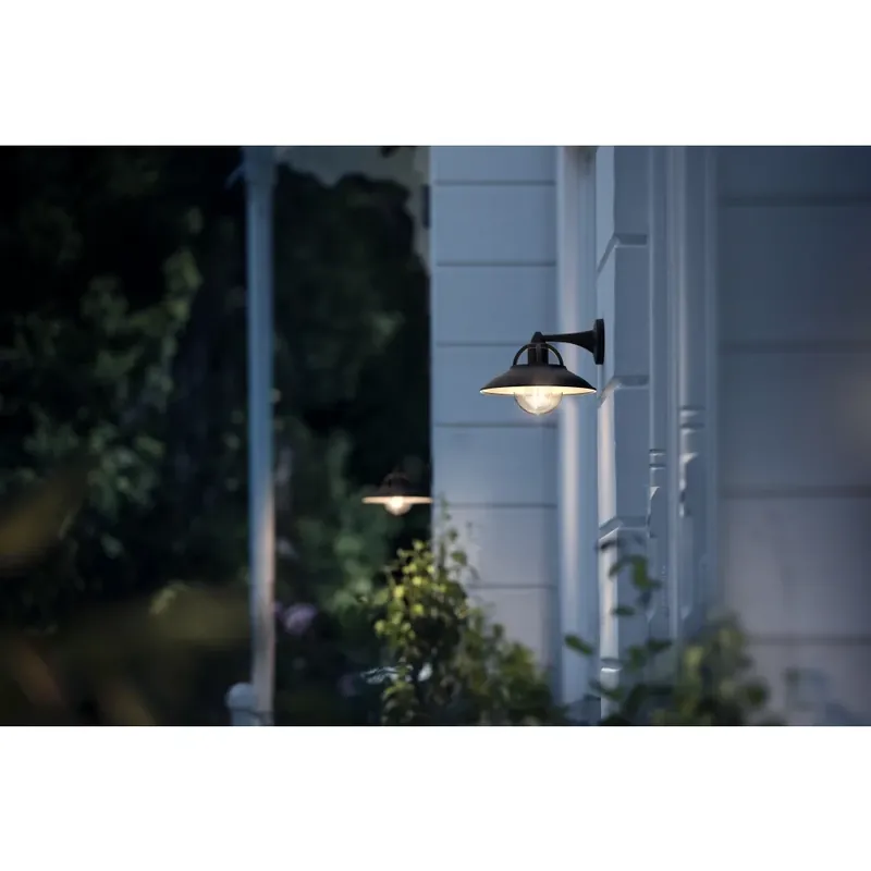 Philips Cormorant Buiten muurverlichting Zwart, 1-licht Modern