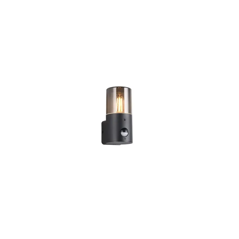 Trio HOOSIC Muurlamp Zwart, 1-licht, Bewegingsmelder Bulkbestelling