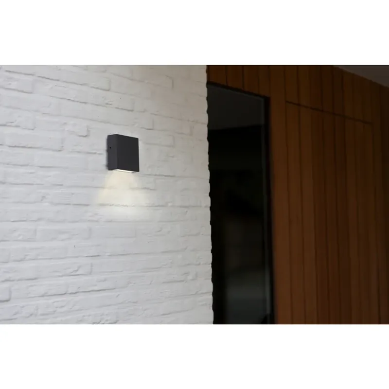 Lutec GEMINI Buiten muurverlichting LED Antraciet, 1-licht Bulkbestelling