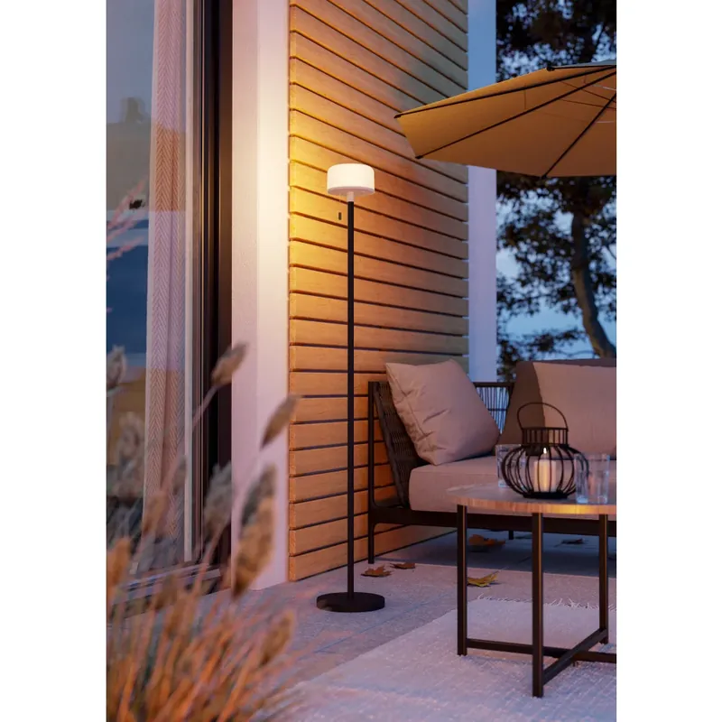 Snelle Levering Eglo verlichting MONTAPALMA-L Staande lamp LED Zwart, Afstandsbediening, Kleurwisselaar