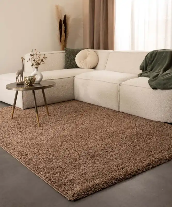 Lage Kosten Hoogpolig vloerkleed shaggy Trend effen – mokka -67%