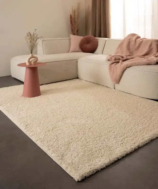 Flitsaanbieding Hoogpolig vloerkleed shaggy Trend effen – crème -67%