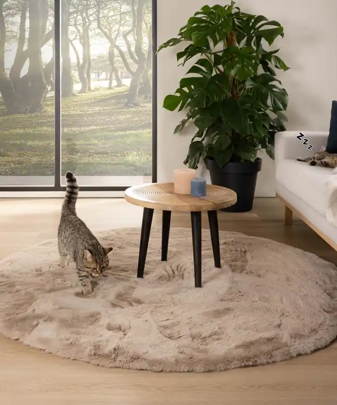 Alleen Vandaag Rond hoogpolig vloerkleed – Comfy plus – taupe Black Friday-45%