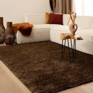 Betrouwbaar Hoogpolig vloerkleed shaggy Trend effen – bruin -50%