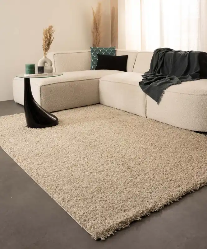Hoogpolig vloerkleed shaggy Trend effen – champagne -62% Bestseller