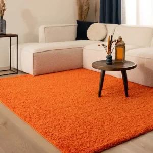 Snelle Levering Hoogpolig vloerkleed shaggy Trend effen – oranje -67%