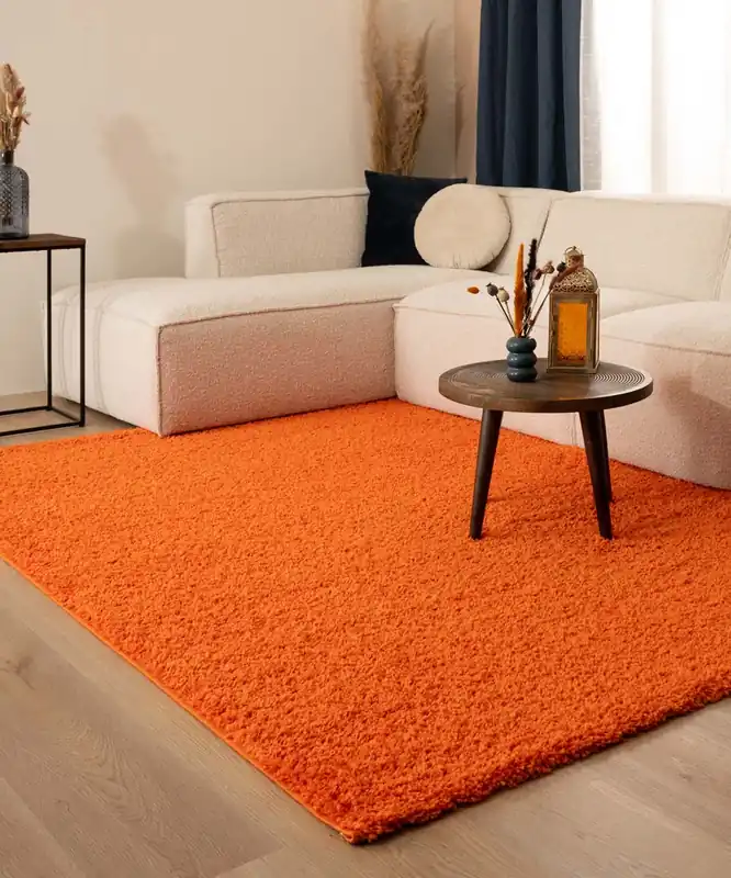 Snelle Levering Hoogpolig vloerkleed shaggy Trend effen – oranje -67%