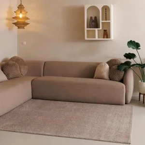 Laagpolig vloerkleed Fine – beige -65% Betrouwbaar
