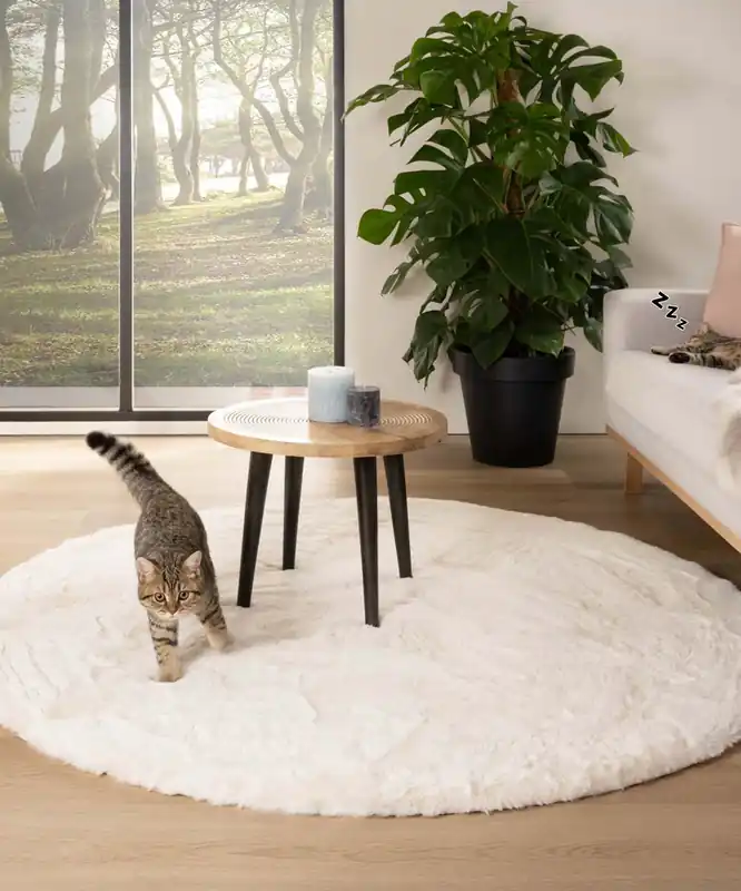 Garantie Inbegrepen Rond hoogpolig vloerkleed – Comfy plus – wit Black Friday-45%