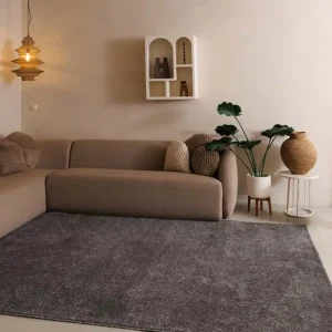 Budget Laagpolig vloerkleed Fine – grijs -70%