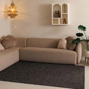 Fabrieksprijs Laagpolig vloerkleed Lush – antraciet    -74%