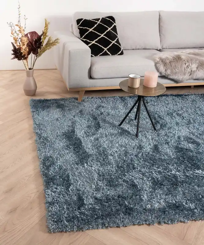 Lage Prijs Hoogpolig vloerkleed velours Posh – blauw Black Friday-60%