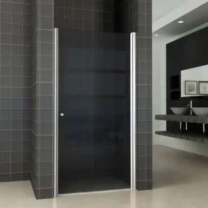 Shop Nu Wiesbaden Smoke douchedeur nis 100cm rookglas