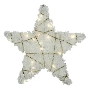 Nieuw Kerstster met 20 leds warm-wit sneeuw glittergoud