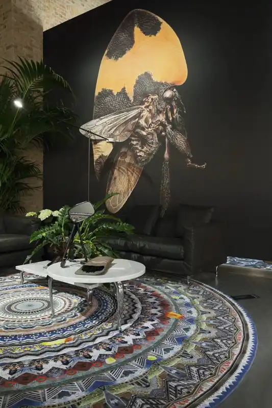 Laagpolig Vloerkleed Moooi Carpets Vancouver Uitverkoop
