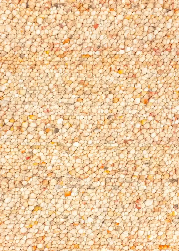 Vloerkleed MOMO Rugs Natural Weaves Bellano 526 Must-Have