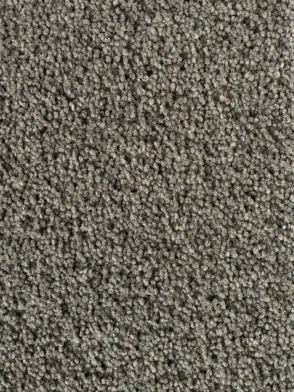 Favoriet Vloerkleed Momo Rugs Pure Sincere Iron