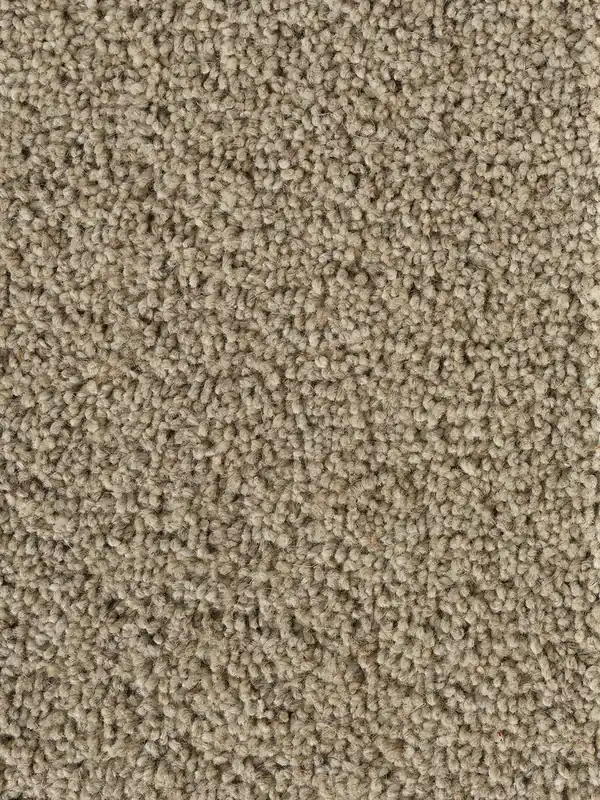 Vloerkleed Momo Rugs Pure Sincere Mushroom Must-Have