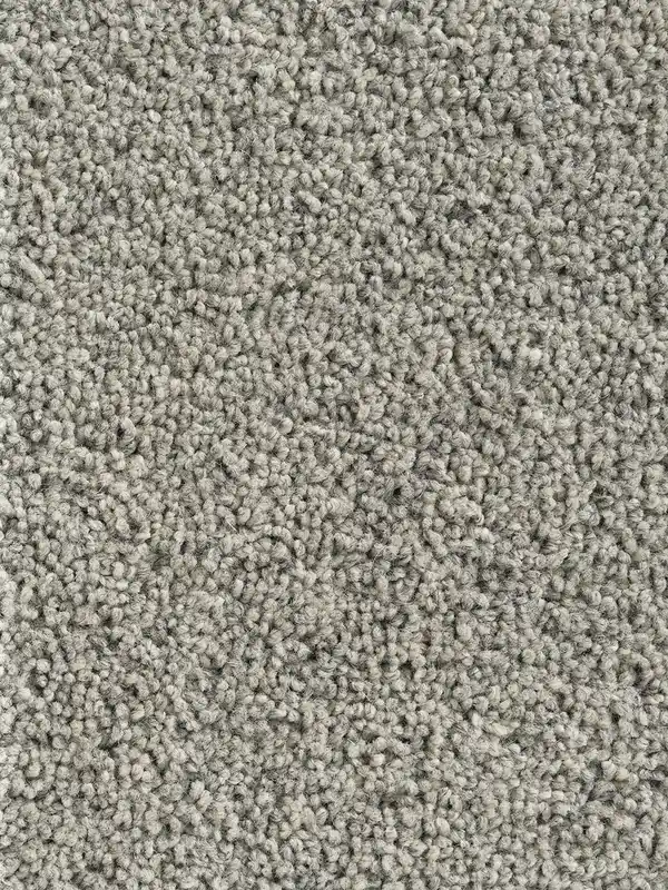 Professioneel Vloerkleed Momo Rugs Pure Sincere Taupe