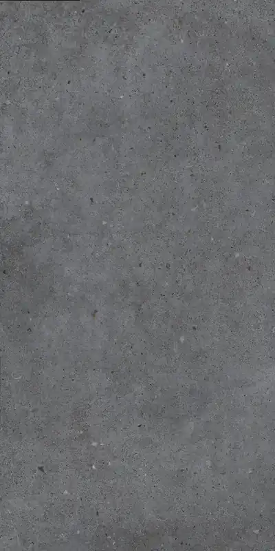 Jabo Brera Board vloertegel antraciet 60x120cm gerectificeerd Beste Prijs