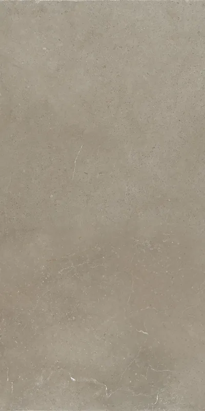Jabo Hollstone Sour vloertegel taupe 60x120cm gerectificeerd Budget