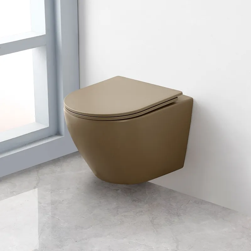 Saniclear Itsie taupe toiletpot randloos met softclose zitting Veilige Betaling