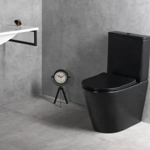 Weekendaanbieding Sapho Paco randloos staand toilet zonder zitting zwart