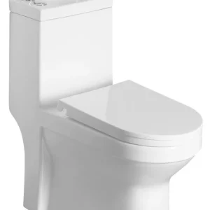 Aqualine Hygie duoblok staand toilet met fontein wit Koopje