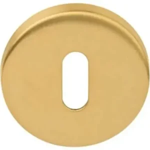Weekendaanbieding Formani | Sleutelplaatje BASIC LBN50 6mm | PVD Mat Goud