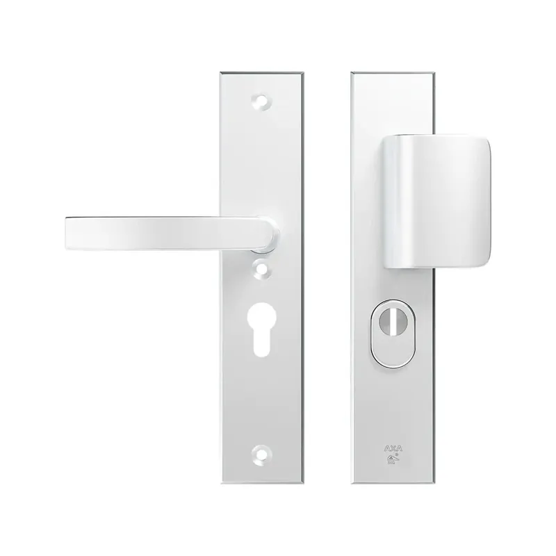 Veilige Betaling Veiligheidsbeslag Edge Plus D-duwer+kruk Blok PC55 anti-kerntrek/omkeerbaar/252X52x12/alu. F1/SKG3