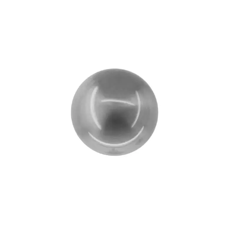 HDD Pro DEURKRUK PRO BOCCIA INOX LOOK Geld-Terug-Garantie