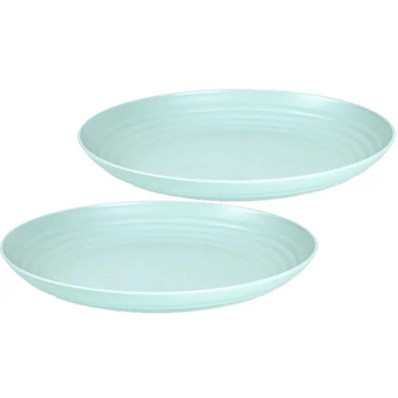 Bestel Nu Plasticforte Camping bord - rond - 2x - D25 cm - mintgroen - kunststof - Dinerborden