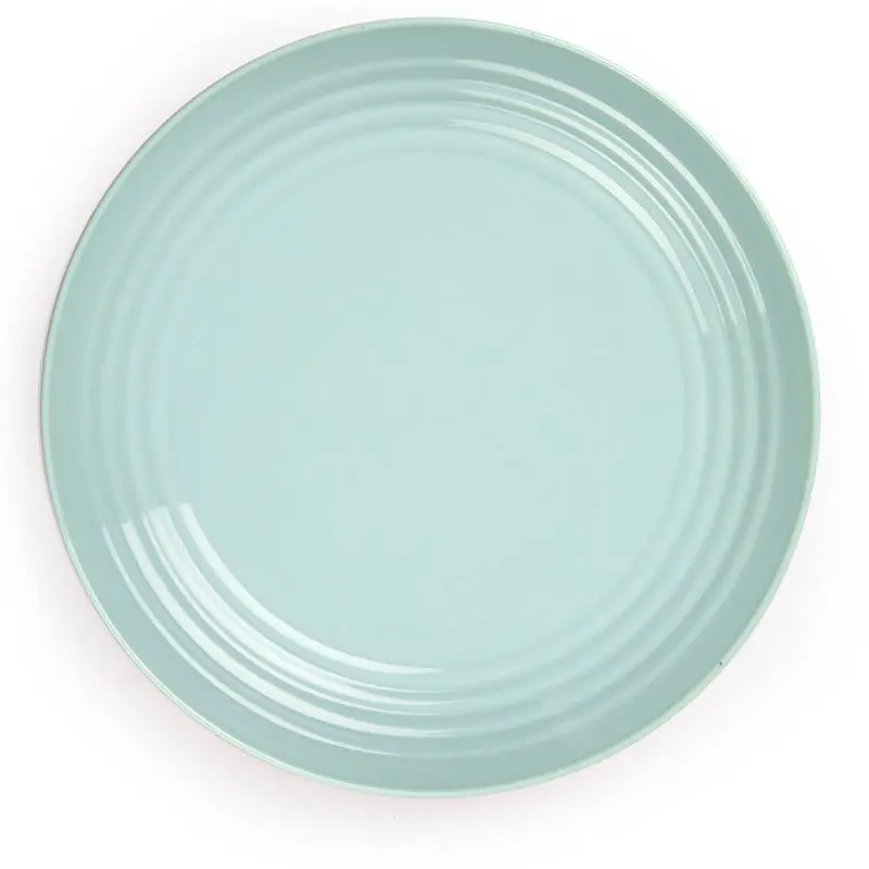 Limited Edition PlasticForte Rond bord/camping bord - D22 cm - mintgroen - kunststof - Dinerborden
