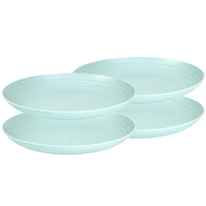 Plasticforte Camping bord - rond - 4x - D25 cm - mintgroen - kunststof - Dinerborden Laatste Kans