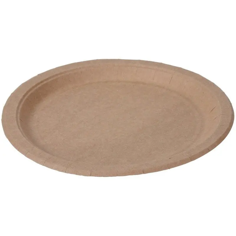 Flitsaanbieding 10x Kraft papieren bordjes 23 cm - Bordjes