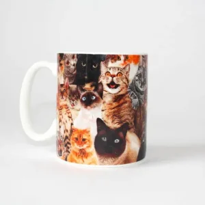 Origineel Gift Republic Crazy Cat Lady Mok