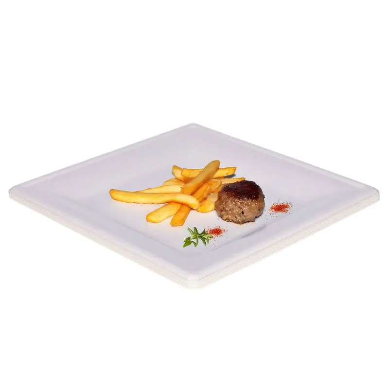 Korting BBQ/Verjaardag feestbordjes - 8x - wit - D21 cm - composteerbaar - Gourmetborden